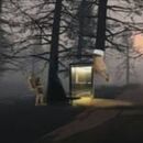 DUAL ANONYMITY IN SOUNDS OF SAXOPHONE