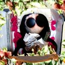 Dziļi nomācošs sapnis